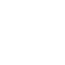 personal consultant